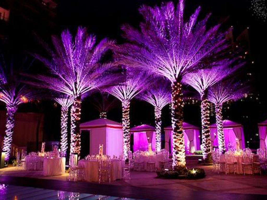 uplights outside on trees for rental