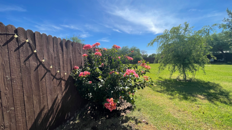Kelly's Cottage - Tolleson AZ florals & plants