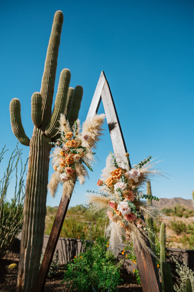desert views at the willow wedding venue Lexi Wyatt photos vendor friends